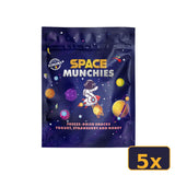Space Munchies Gefriergetrockneter Joghurt mit Erdbeere & Honig